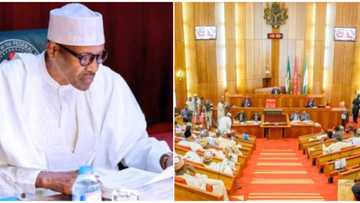 Yanzu-yanzu: Buhari aika sunayen ministoci 43 majalisar dattawa, karanta jerin sunayen