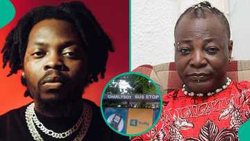 "Charly Boy bus stop renamed to Baddo bus stop": Lagos Council honours Olamide, Sunny Ade, others