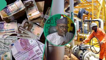 Boost for naira as Nigeria retains position as Africa’s biggest oil producer for 3rd straight month