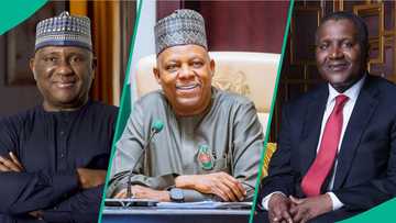 Shettima sparks debate, says Lagos produced Africa’s richest billionaires, Dangote and Rabiu