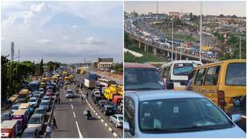 6 different documents you must have in your vehicle to avoid being stopped by officers, lady shares list