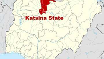 Amid attack on Buhari's convoy, bandits gun down assistant police commissioner in Katsina