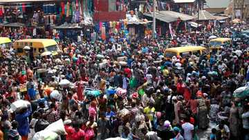 Bank accounts in Nigeria rise by over 66m, now more than the total population of Ghana, 12 countries combined