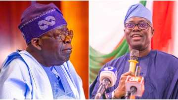 Real reason I will continue to visit Tinubu, Makinde reveals