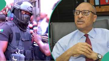 Shadow government: DSS takes major action as Utomi, allies move to hold massive rallies