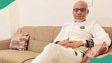 Nnamdi Kanu: Ohanaeze reveals why Igbos are not bothered by Supreme Court judgement