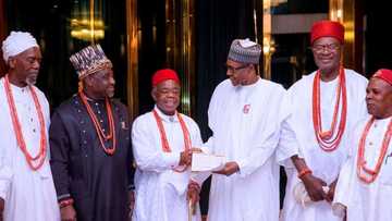 Nnamdi Kanu: Southeast traditional rulers demand release of IPOB leader