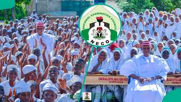 Excitement as Kano leads performance in 2025 NECO exams nationwide