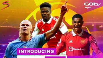 5 reasons why the 2023/24 Premier League season is special for Nigerians