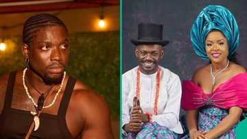 Drama as VDM calls out Mr Jollof, demands evidence of him apologising to comedian's wife
