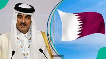 Qatar special work permit: 6 steps to submit your application for free