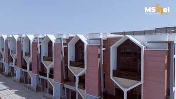 Top 10 real estate companies in Lagos: What separates the best from the rest