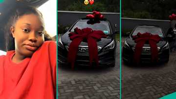 Wig seller buys new car worth N20 million with money she made from business, people react