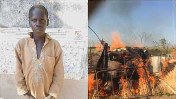 Hotunan 'yan Boko Haram da soji suka kashe, sun damke mai hada bama-bamai a Borno