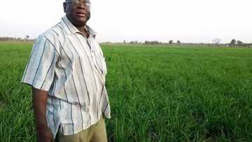 'Yan bindiga sun bi wani tsohon Sanatan arewa har gida sun yi awon gaba da shi