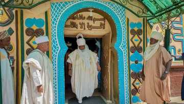 Masarautar Bauchi ta tsige masu rike da sarauta 6, ta ɗauki mataki mai tsauri kan Hakimi