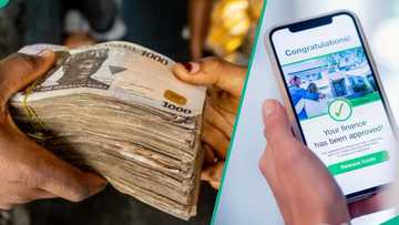 Trapped: How limited bank credit exposes Nigerian small business owners to costly digital loans