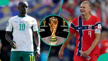 Norway vs Senegal: Mysterious cat predicts 2026 FIFA World Cup match