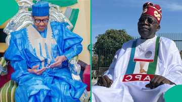 List of APC, Tinubu's recent events that Buhari did not attend and why