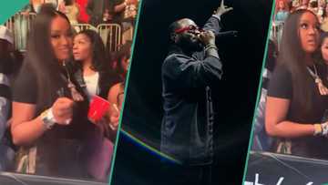 "Understanding wife": Fans react as Clips of Chioma attending Davido's show at the MSG goes viral