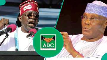 ADC coalition: Atiku holds "strategic meeting" with Buhari’s former appointee, others, photo emerges