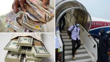 Thank you for understanding: Foreign airlines announces plan to sell tickets to Nigerians in dollars