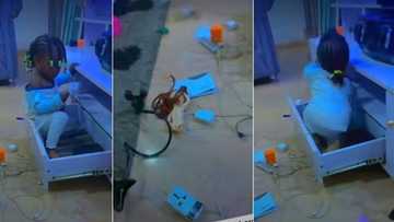 Nigerian mother cries out as she sees little daughter scattering the house, video stirs reactions
