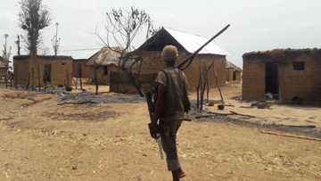 Katsina govt reveals armed bandits now use walkie-talkies to beat telecom shutdown