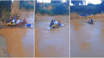 "It can never be me": 4 courageous ladies use flat wood to cross flooded river, video goes viral on TikTokk