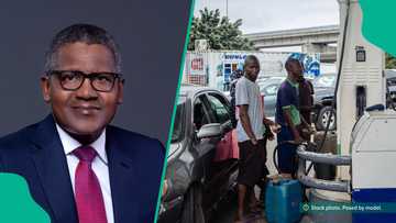 Farashin fetur zai sake sauka: Dangote da kamfanonin mai sun kulla wata yarjejeniya