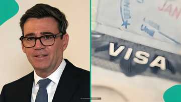 Full list: Activities foreigners employed overseas can do in UK on Standard Visitor visa