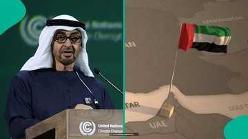 UAE publishes list of 100 universities whose graduates qualify for Abu Dhabi Golden Visa