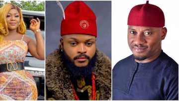 Let’s support our own: Nollywood stars Destiny Etiko, Yul Edochie stand with BBNaija star Whitemoney