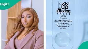Amb. Folasade Agbeluyi Receives Philanthropist of the Year Award at the Golden Stars Gala