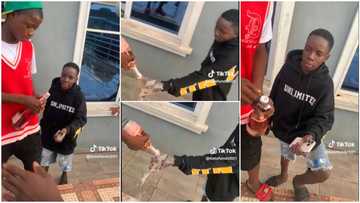 "Elon Musk will never": Young man opens wine bottle, pours everything on new iPhone in video to show off