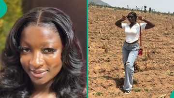 Congratulations pour in as lady shows off large land she acquired, video trends on TikTok