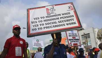 Bleak future: List of 20 states that shun contributory pension scheme for workers