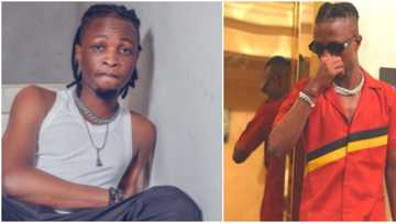 BBNaija 2020 star Laycon breaks record as he hits 1M followers on Twitter