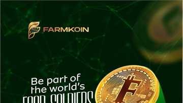 How FarmKoin will Help Build Agricultural Blockchain Across Africa