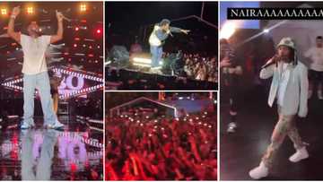 They are representing well: Videos trend as Davido, Olamide, other Nigerians storm Puerto Rico for Afro Nation