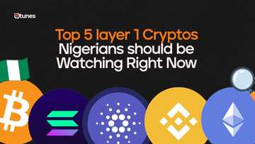 Top 5 layer 1 cryptos Nigerians should watch in 2025