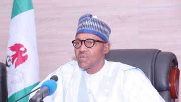 Buhari ya ƙirƙiri sabuwar hukuma mai muhimmanci, ya naɗa shugabanta na farko