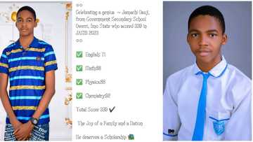 "He deserves a scholarship": Brilliant 16-year-old boy scores 339 in JAMB UTME, records 92 in chemistry