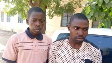 Hotuna: 'Aljanun Kano' da suka dade suna damfara sun shiga hannun hukuma a Katsina