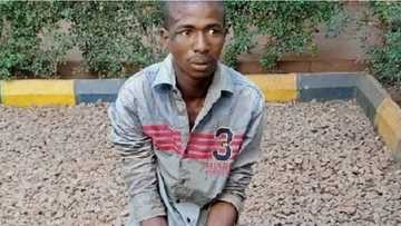 Herdsman who allegedly molested woman to death in Ebonyi begs for forgiveness