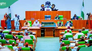 BREAKING: Reps pledge 50% salary cut to combat hunger crisis, Nigerians react