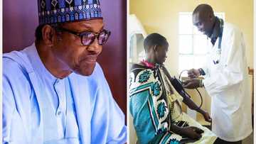 Nigerian govt budgets N5000 per citizens for healthcare in 2023, highest under President Buhari