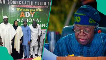 2027 elections: Tinubu told what to do over next INEC chairman appointment
