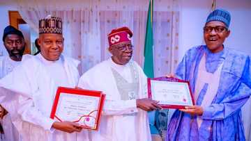 Photos emerge as Tinubu, Shettima, APC governors visit Buhari in Daura