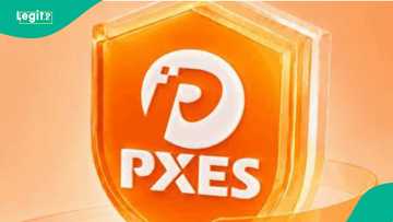 'Yan damfara sun gudu da miliyoyin kudin da 'yan Najeriya suka tura a PXES